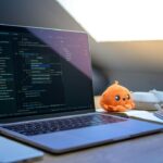 software development companies in chicago